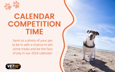 VetIQ Calendar Competition – July 2023