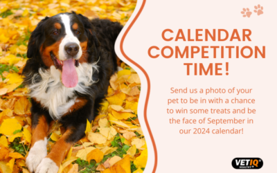 VetIQ Calendar Competition – September 2023