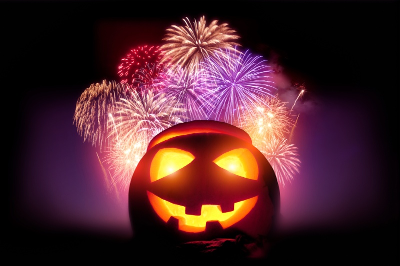 How To Calm Your Dog During Fireworks This Halloween - VETIQ (2)