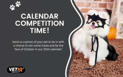VetIQ Calendar Competition – October 2023